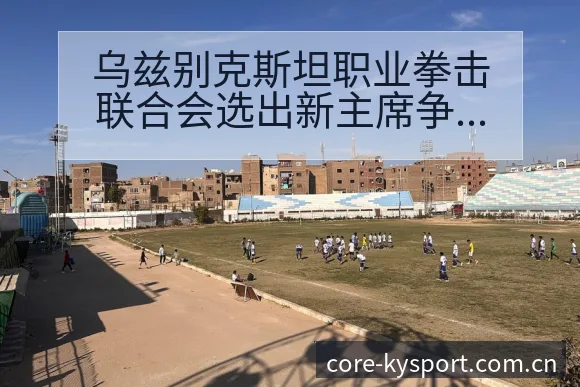 乌兹别克斯坦职业拳击联合会选出新主席争议焦点与舆论观察风 - 开云体育