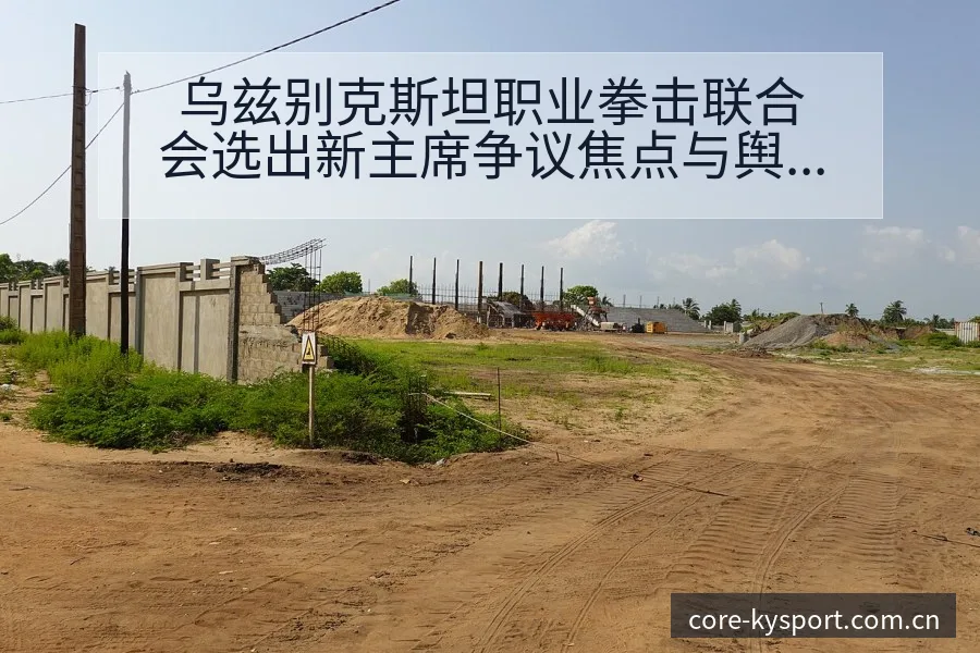 乌兹别克斯坦职业拳击联合会选出新主席争议焦点与舆论观察风 - 开云体育